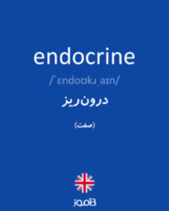  تصویر endocrine - دیکشنری انگلیسی بیاموز