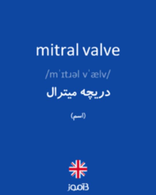 تصویر mitral valve - دیکشنری انگلیسی بیاموز