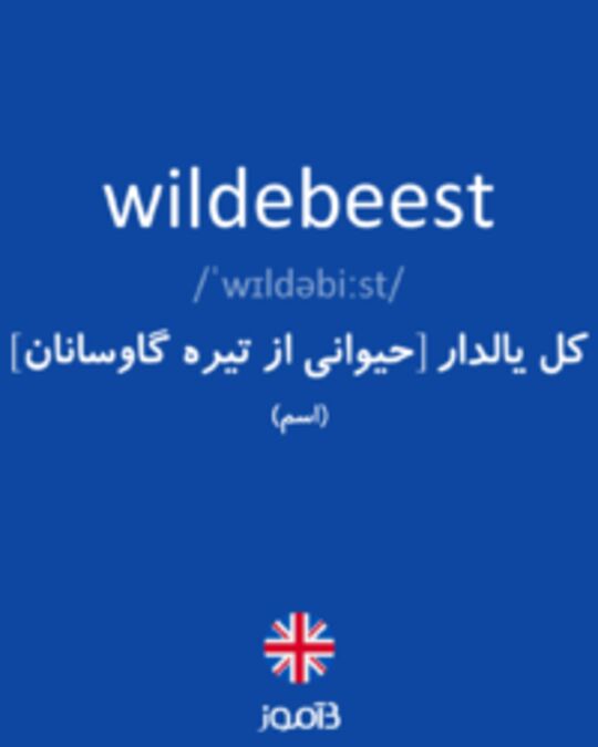  تصویر wildebeest - دیکشنری انگلیسی بیاموز