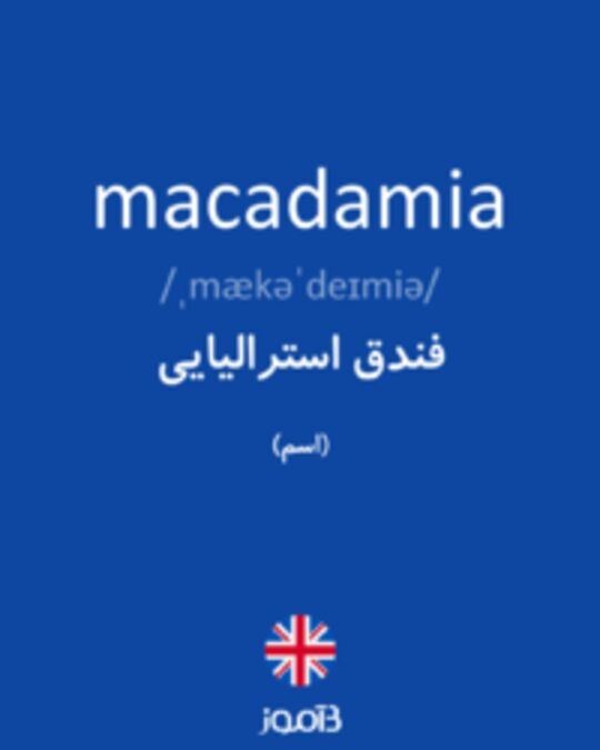  تصویر macadamia - دیکشنری انگلیسی بیاموز