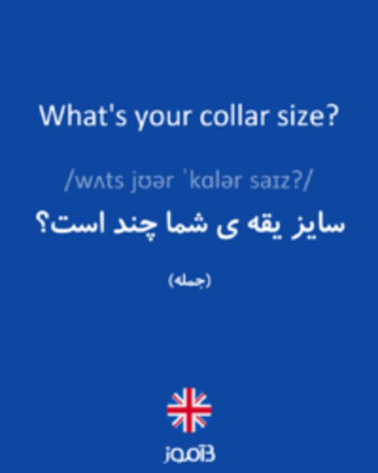  تصویر What's your collar size? - دیکشنری انگلیسی بیاموز