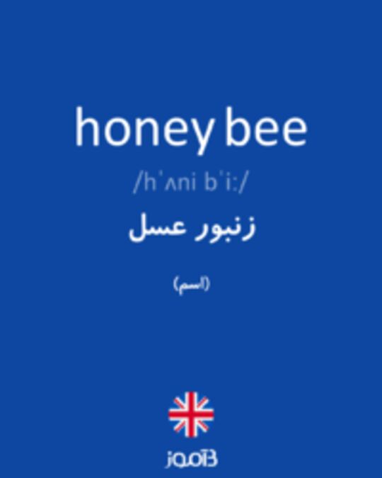  تصویر honey bee - دیکشنری انگلیسی بیاموز