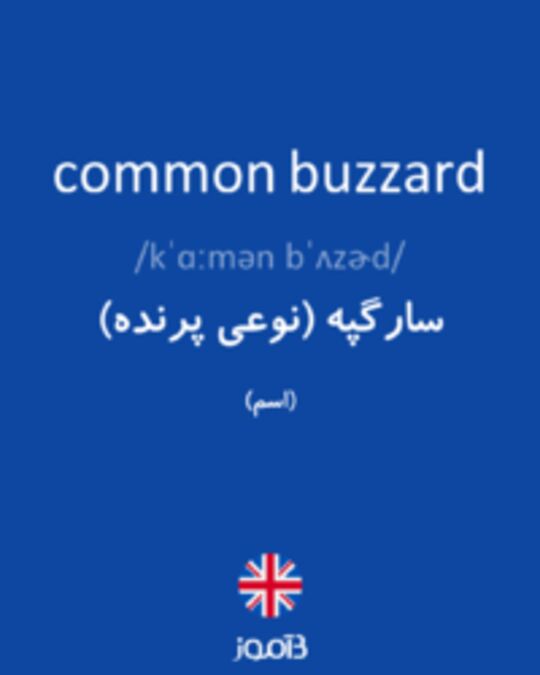  تصویر common buzzard - دیکشنری انگلیسی بیاموز