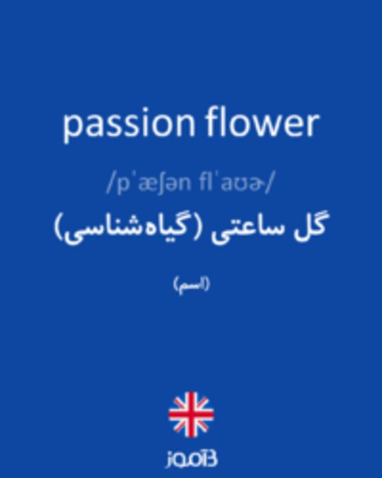  تصویر passion flower - دیکشنری انگلیسی بیاموز