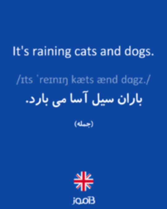  تصویر It's raining cats and dogs. - دیکشنری انگلیسی بیاموز