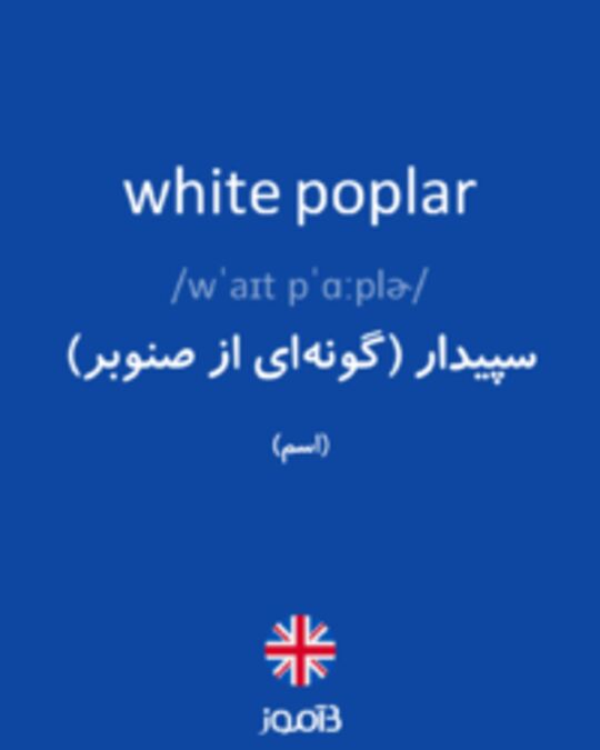  تصویر white poplar - دیکشنری انگلیسی بیاموز