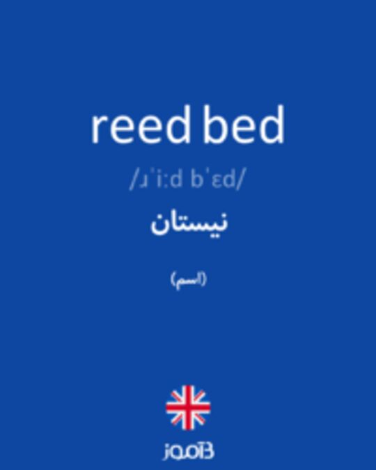  تصویر reed bed - دیکشنری انگلیسی بیاموز