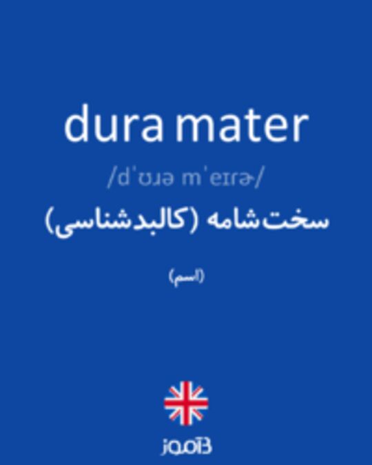  تصویر dura mater - دیکشنری انگلیسی بیاموز
