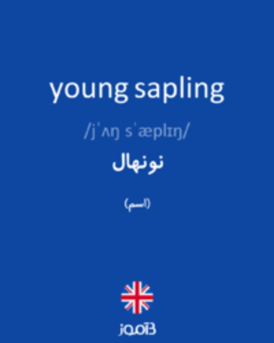  تصویر young sapling - دیکشنری انگلیسی بیاموز