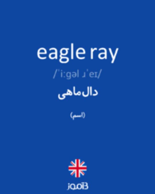  تصویر eagle ray - دیکشنری انگلیسی بیاموز
