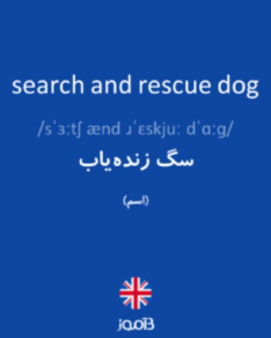  تصویر search and rescue dog - دیکشنری انگلیسی بیاموز