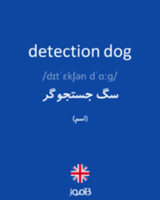  تصویر detection dog - دیکشنری انگلیسی بیاموز