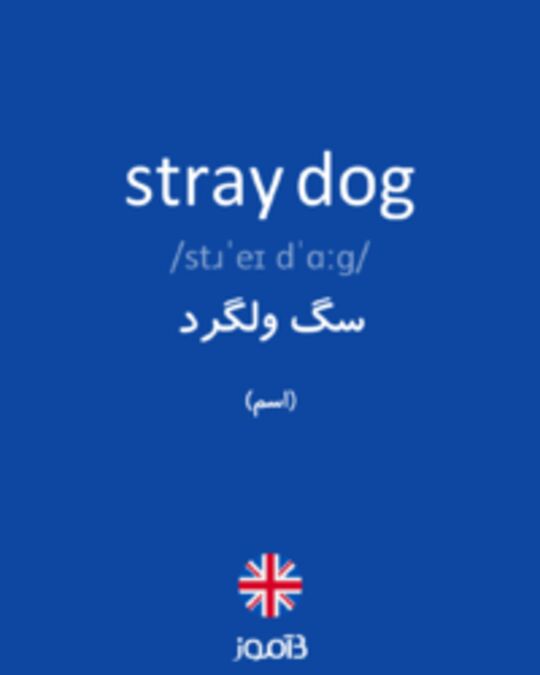  تصویر stray dog - دیکشنری انگلیسی بیاموز