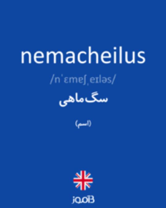  تصویر nemacheilus - دیکشنری انگلیسی بیاموز