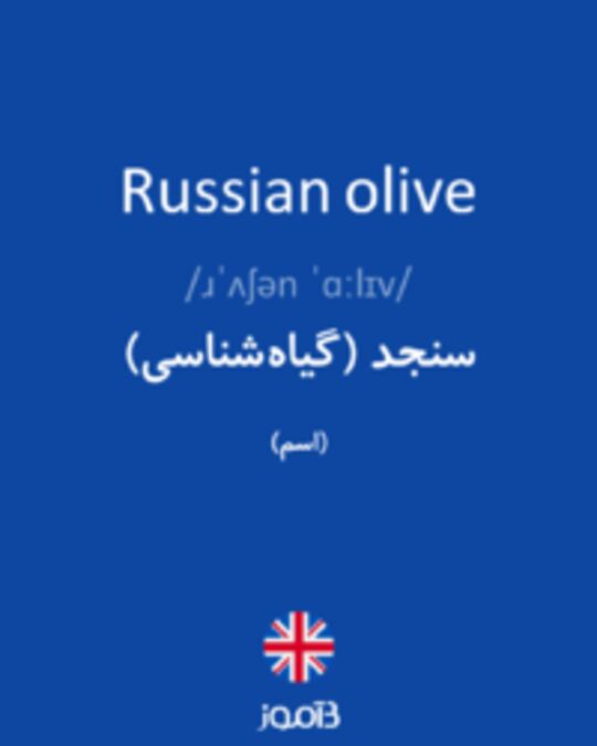  تصویر Russian olive - دیکشنری انگلیسی بیاموز