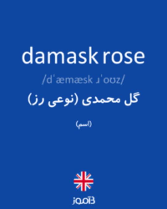 تصویر damask rose - دیکشنری انگلیسی بیاموز