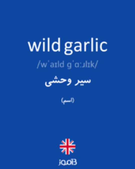  تصویر wild garlic - دیکشنری انگلیسی بیاموز