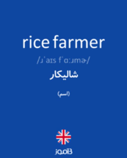  تصویر rice farmer - دیکشنری انگلیسی بیاموز