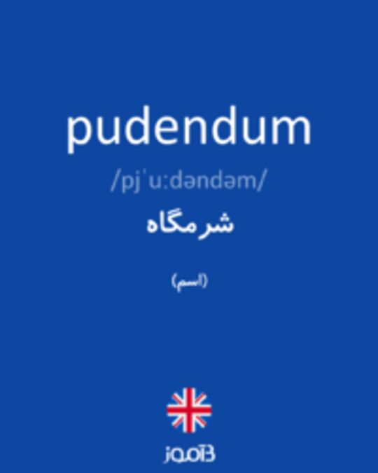  تصویر pudendum - دیکشنری انگلیسی بیاموز