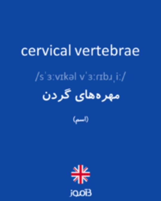  تصویر cervical vertebrae - دیکشنری انگلیسی بیاموز