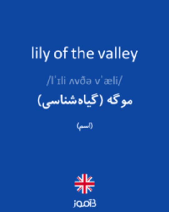  تصویر lily of the valley - دیکشنری انگلیسی بیاموز