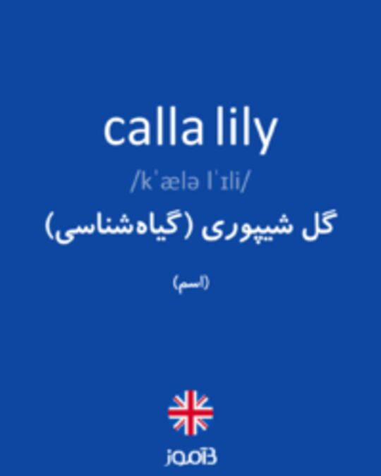  تصویر calla lily - دیکشنری انگلیسی بیاموز