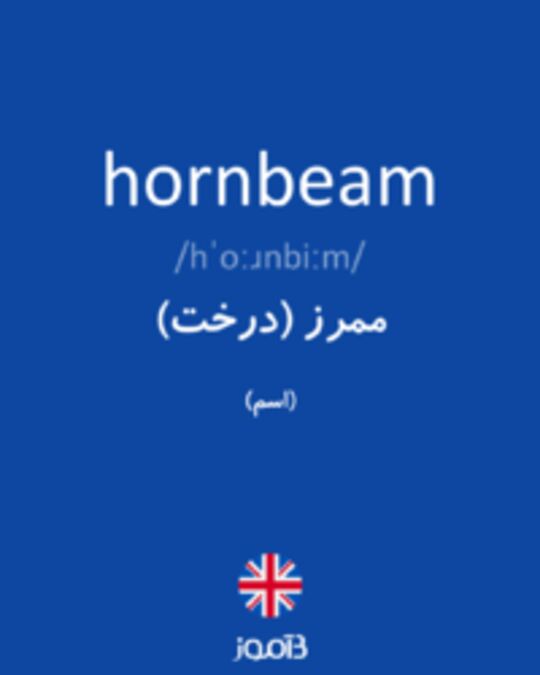  تصویر hornbeam - دیکشنری انگلیسی بیاموز