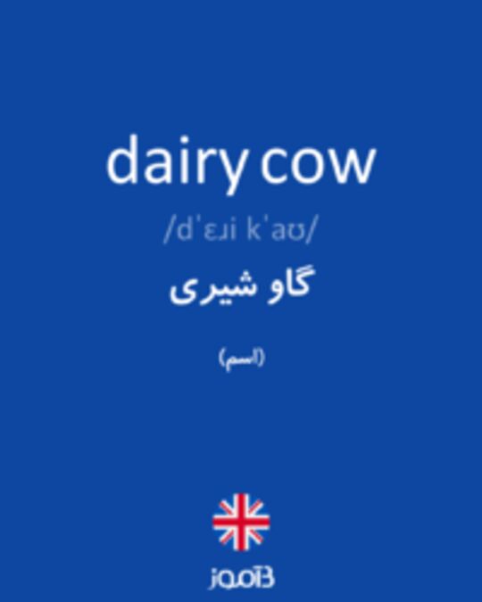  تصویر dairy cow - دیکشنری انگلیسی بیاموز