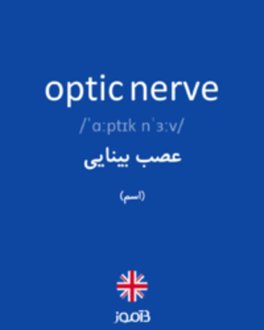  تصویر optic nerve - دیکشنری انگلیسی بیاموز