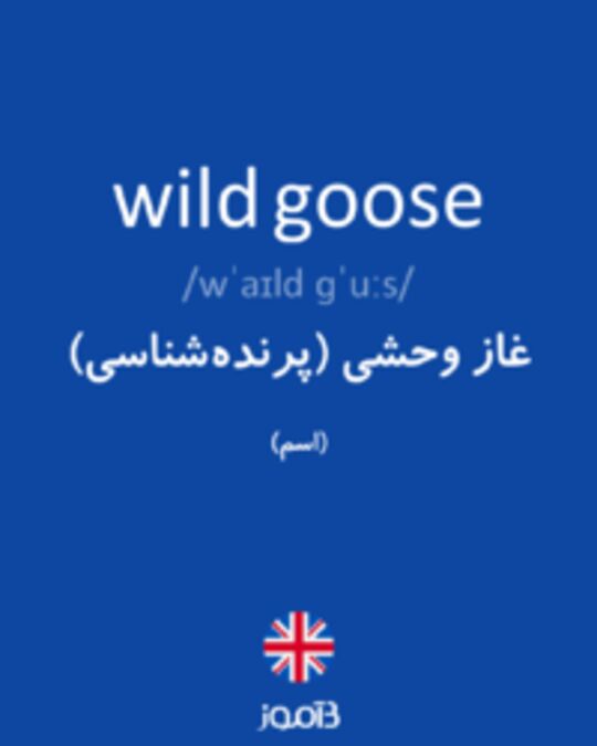  تصویر wild goose - دیکشنری انگلیسی بیاموز