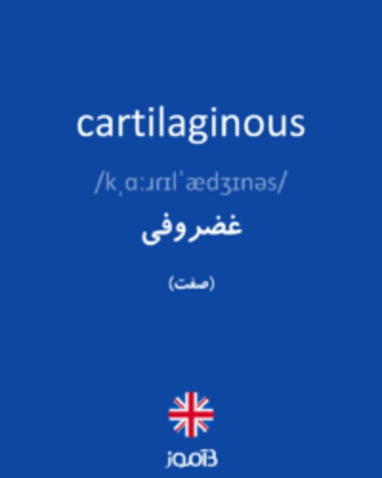  تصویر cartilaginous - دیکشنری انگلیسی بیاموز