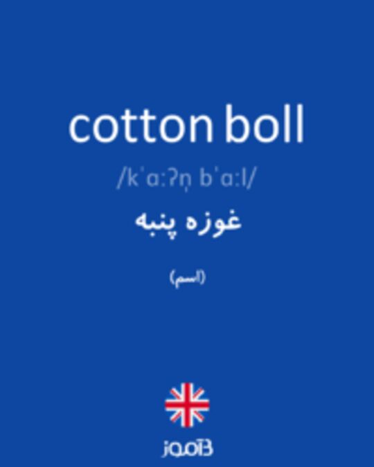  تصویر cotton boll - دیکشنری انگلیسی بیاموز