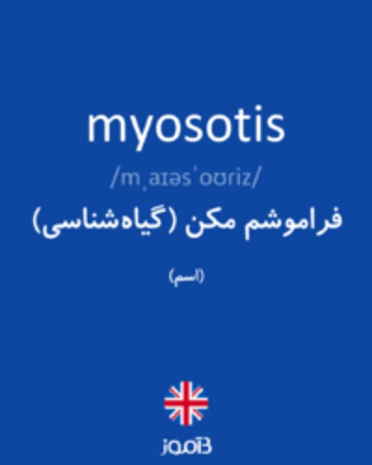  تصویر myosotis - دیکشنری انگلیسی بیاموز
