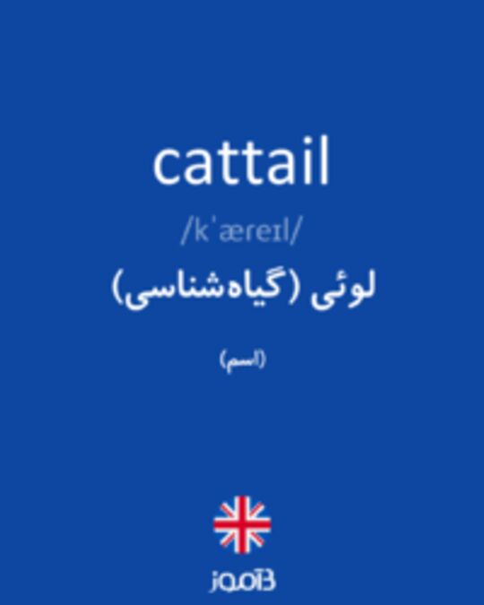  تصویر cattail - دیکشنری انگلیسی بیاموز