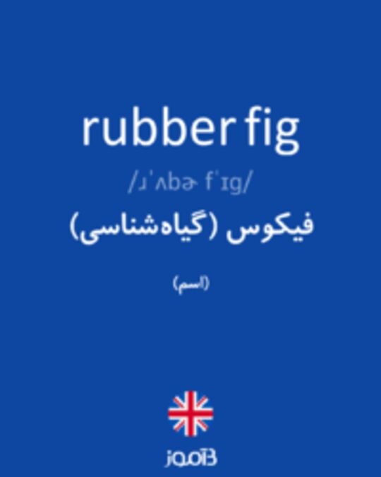  تصویر rubber fig - دیکشنری انگلیسی بیاموز