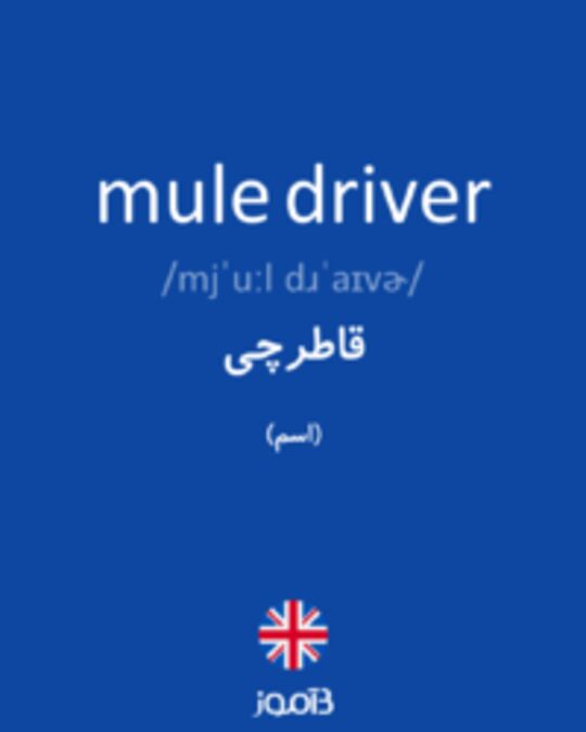  تصویر mule driver - دیکشنری انگلیسی بیاموز