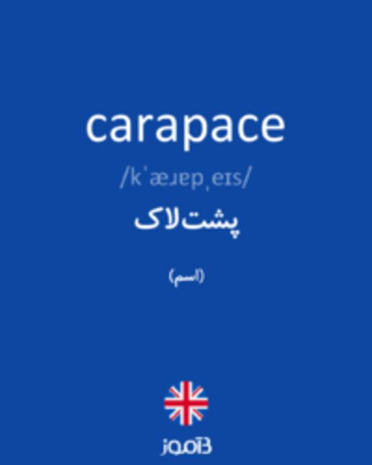  تصویر carapace - دیکشنری انگلیسی بیاموز