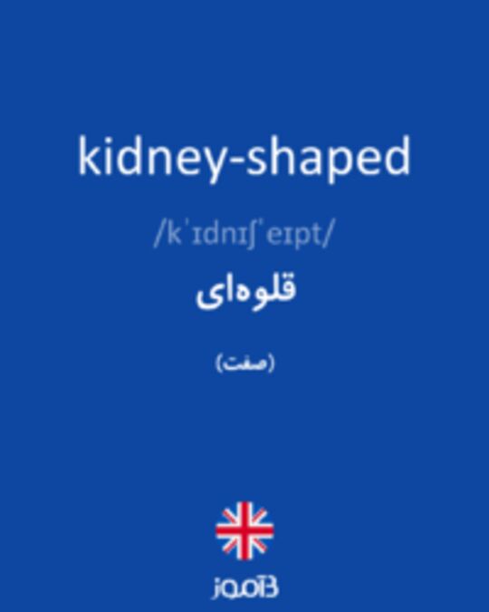  تصویر kidney-shaped - دیکشنری انگلیسی بیاموز