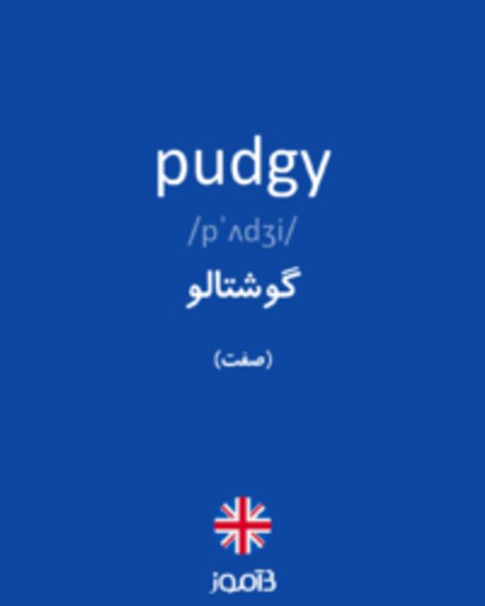  تصویر pudgy - دیکشنری انگلیسی بیاموز