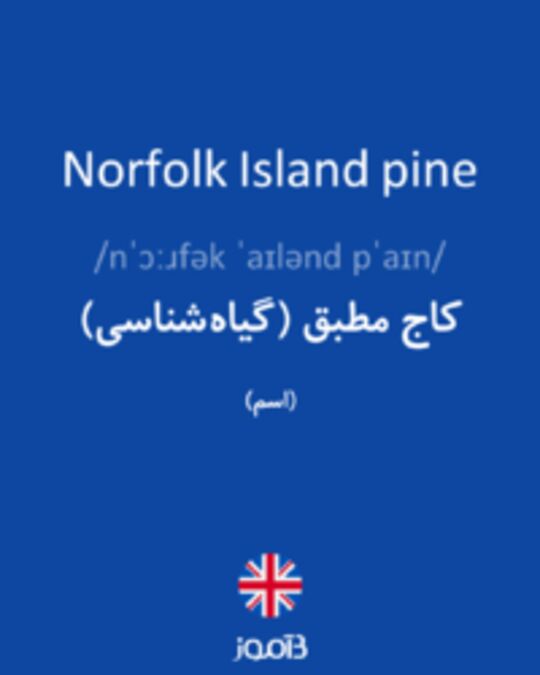  تصویر Norfolk Island pine - دیکشنری انگلیسی بیاموز