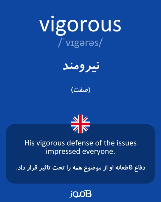 vigor meaning