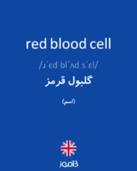  تصویر red blood cell - دیکشنری انگلیسی بیاموز