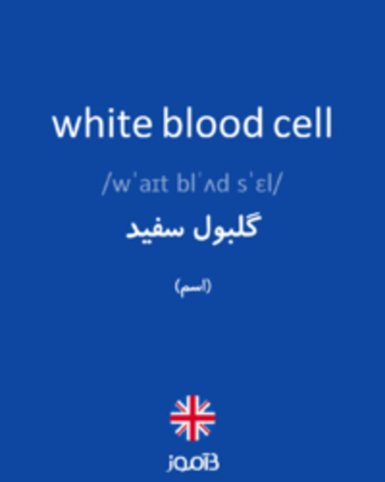  تصویر white blood cell - دیکشنری انگلیسی بیاموز