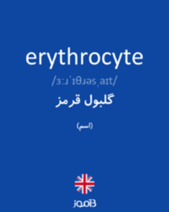 تصویر erythrocyte - دیکشنری انگلیسی بیاموز