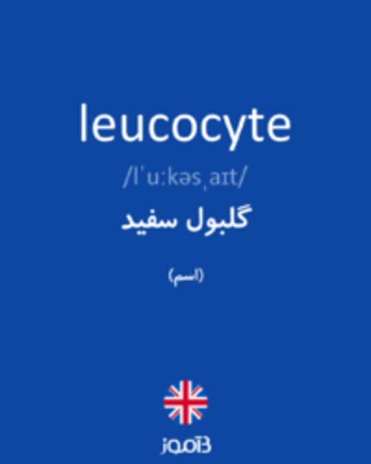 تصویر leucocyte - دیکشنری انگلیسی بیاموز