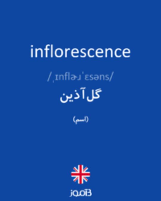  تصویر inflorescence - دیکشنری انگلیسی بیاموز