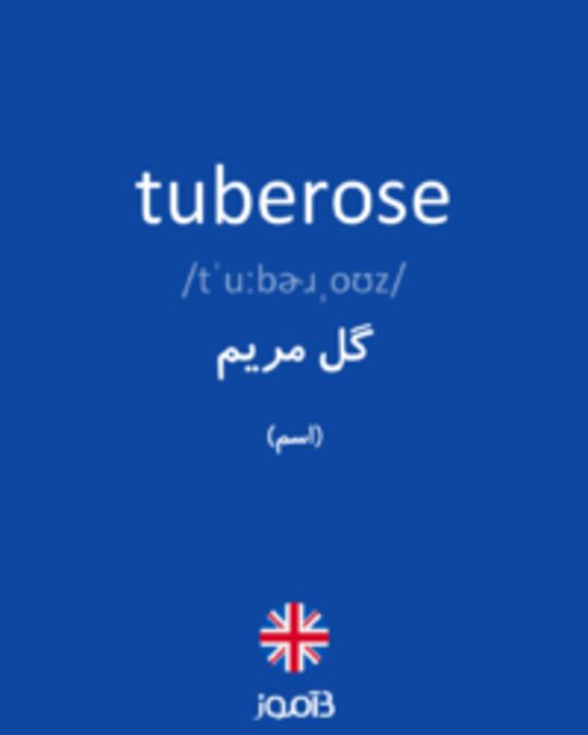  تصویر tuberose - دیکشنری انگلیسی بیاموز