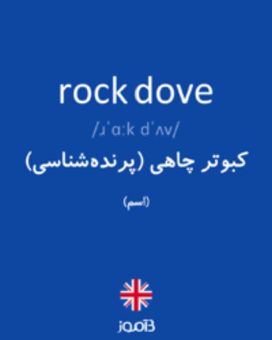  تصویر rock dove - دیکشنری انگلیسی بیاموز