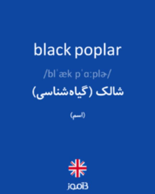  تصویر black poplar - دیکشنری انگلیسی بیاموز