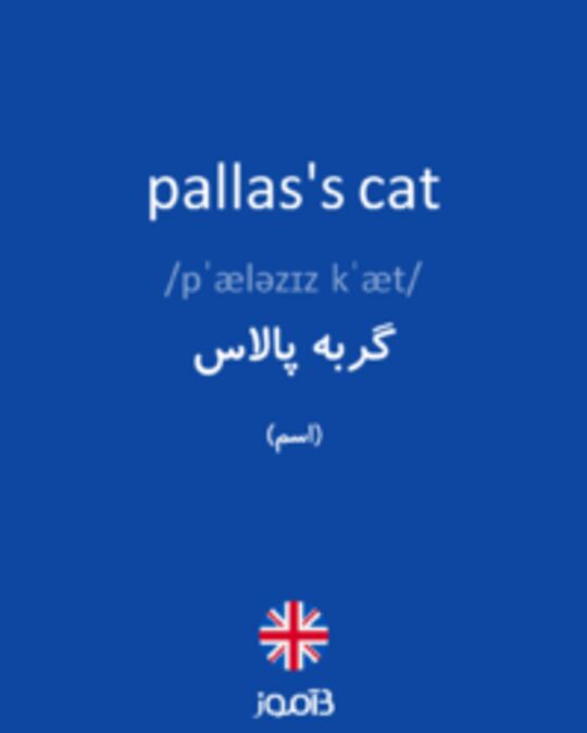  تصویر pallas's cat - دیکشنری انگلیسی بیاموز